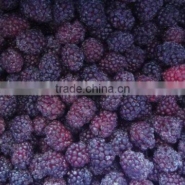 IQF Fruit Frozen Blackberry Grade A