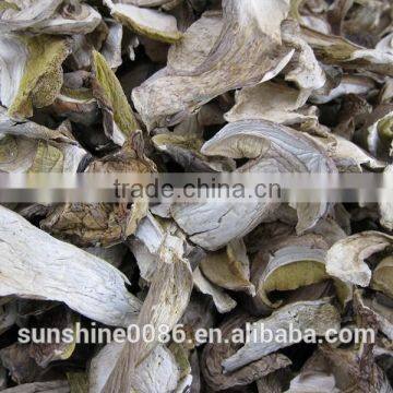 wild boletus(porcini) edulid from yunnan