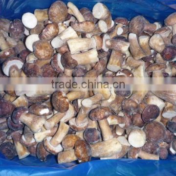 Frozen boletus edulis in new season crop/frozen boletus edulis mushroom