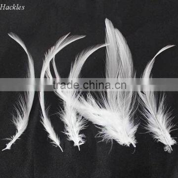 Wholesale white hackle feather