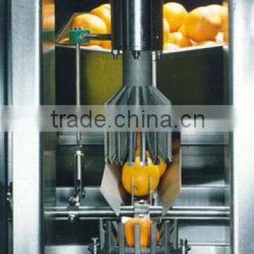 fruit juice production line