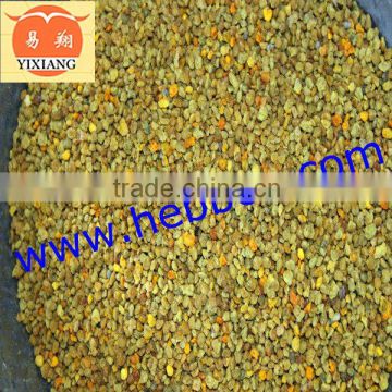 High Grade Rape Bee Pollen Powder on Sale