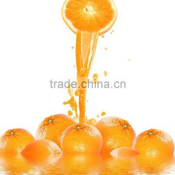 Hot Sale On Automatic Orange Peeler Especially For Making Orange Juice photo-4