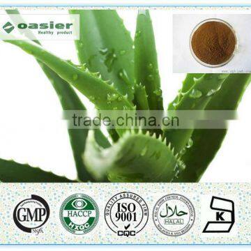 Natural Manufacturer hot sale aloe vera extract supplier