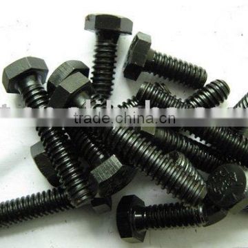 hot dip galvanized bolts