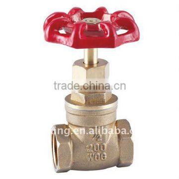 brass gate valve