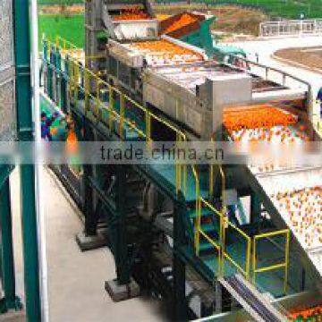 Citrus Processing Line