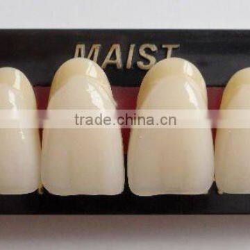 removable denture synthetic polymer teeth MAIST