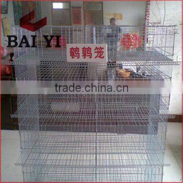 High Quality Wire Mesh Quail Cage /Layer Quail Cages For Sale/Galvanized Quail Cage