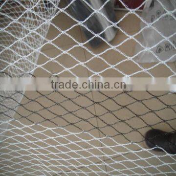 Diamond Shape Monofilament 25g Anti Bird Net for Fruit Orchards