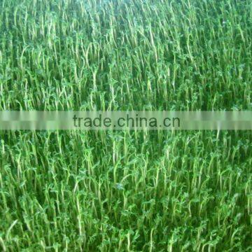 Wheat/grass/bean Growing Machine, Barley Sprout Machine Hydroponics Animal Fodder photo-5