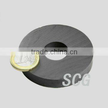 Ring ferrite magnet