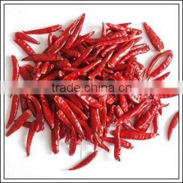 2016export dried jinta chili with competitive price supplie red chili high quility