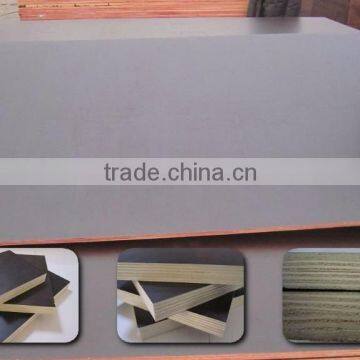 First Grade 15mm Film Faced Pywood photo-3