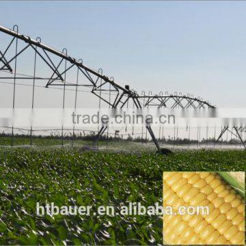 Pivoting Irrigation photo-2