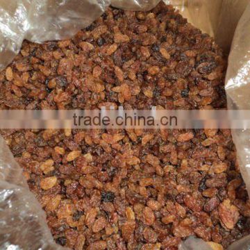 Chinese sultan raisin