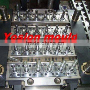 24 Cavities valve gate hot runner injection preform mould