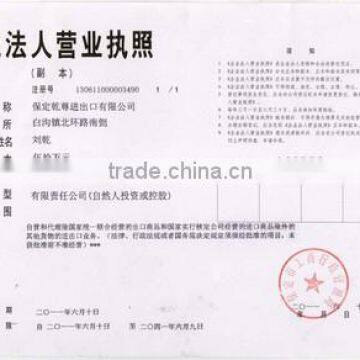 License of The Business Corporation