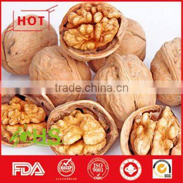 Juglans Regia L. Planted in China photo-3