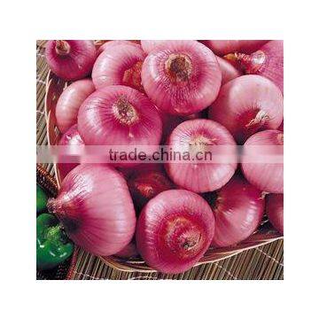 chinese fresh yellow red onion