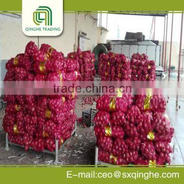 bulk fresh red onion in mesh bags