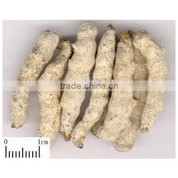 Bombyx batryticatus Extract powder