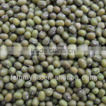 Northeast China green mung bean