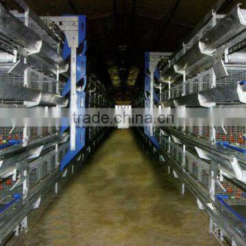 Layer or Broiler H Type Layer Battery Cage