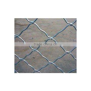 Beautiful grid wire mesh (Galvanized,PVC/PE coated.high quality,factory)