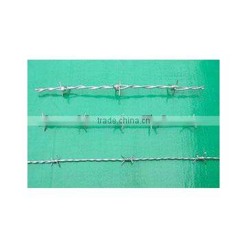 Barbed wire Galvanized SWG14 500 meters length per roll thorn wire