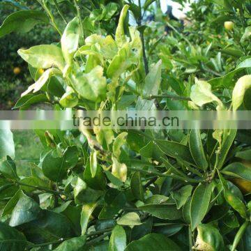 Liquid Fertilizer photo-2