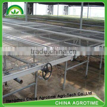 High Qualified Seeded Benching System in Greenhouse photo-3