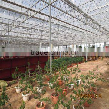 Modern Design Low Cost / Cheap Glass Green Houses for Agriculture photo-4