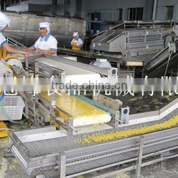 Frozen Sweet Corn Freezing Production Line for Industrial Use photo-3