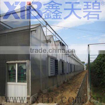 professional greenhouse manufacturer