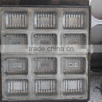 Plastic Thermoforming Cake Container Mold photo-6