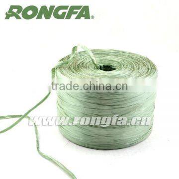 High Quality Green Biodegradable Plastic Raffia String photo-4