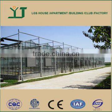 Commercial Greenhouse for agriculture