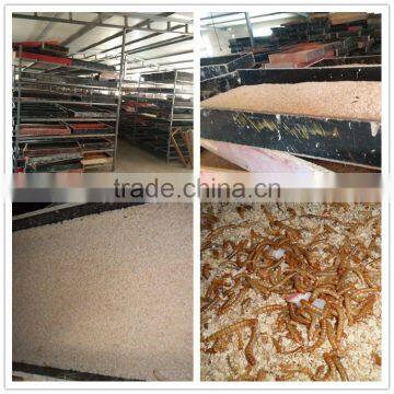 Pet Food Microwave Dried Mealworm Animal Food photo-6