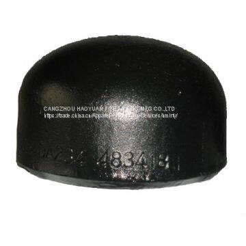 Schedule 40 Steel Pipe Cap photo-2