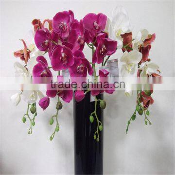 SJ20170048 China Wholesale Factory Price Silk Dance Orchid for Indoor Decoration Cheap Silk Dance Orchid photo-3