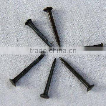 Blue Shoe Tacks Nails(Guangzhou Factory)