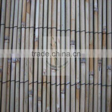 Bamboo Fence photo-3