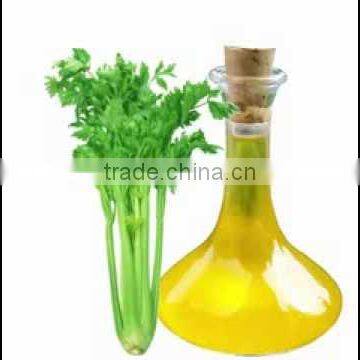 Celery Oil photo-3