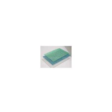 2010 ExpoPolycarbonate Embossed Sheet