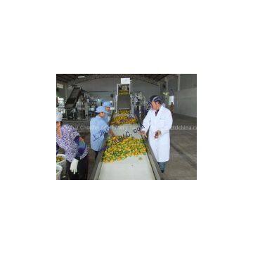 Mango Processing Line photo-2
