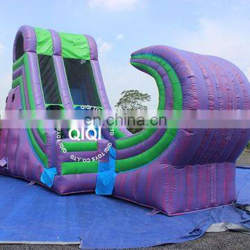 Inflatable Water Slide with Stair