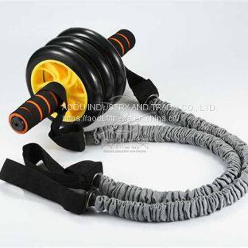 AB Wheel Roller Kit - AB Roller Pro with Resistant Band,Knee Pad,Anti-Slip Handles - Perfect Abdominal Core Carver Fitne