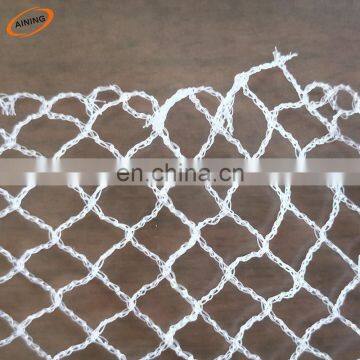 HDPE anti bird protection net for grapes farms/bird capture net