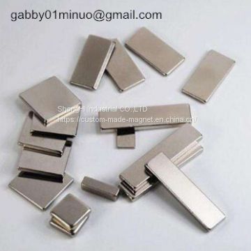 Rare Earth Magnets